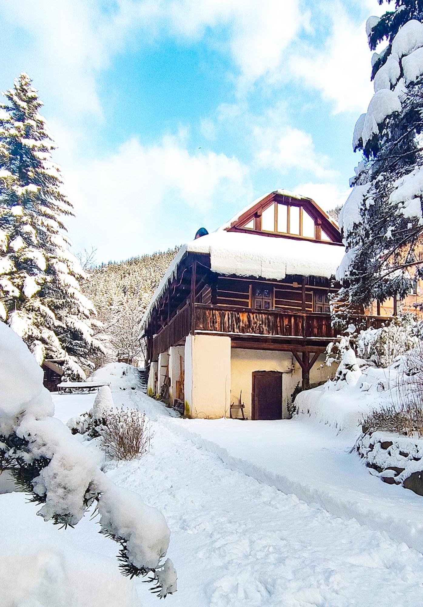 Drevenica Inga Chalet *